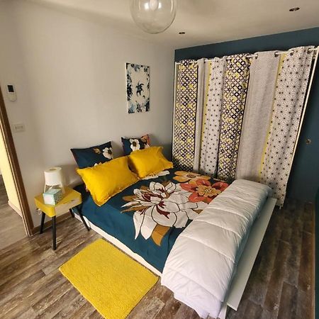 Agreable Maison De Ville A Villefranche Sur Saone ภายนอก รูปภาพ